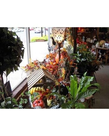 View Our Store